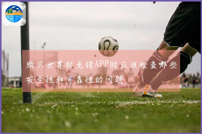 购买世界杯竞猜APP时应该检查哪些安全性和可靠性的问题