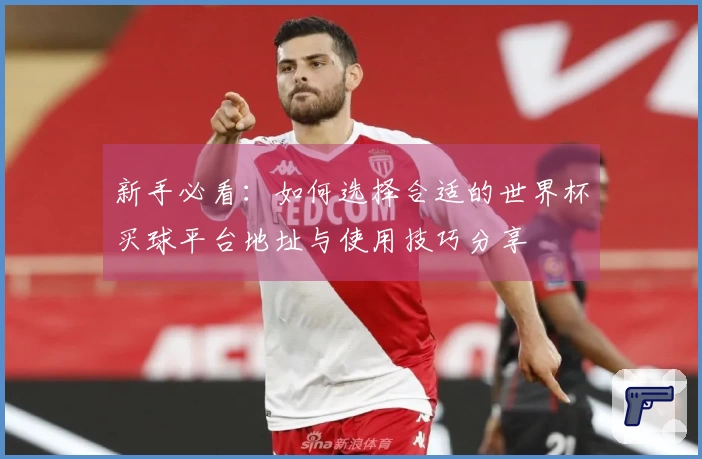 新手必看：如何选择合适的世界杯买球平台地址与使用技巧分享