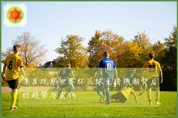 深度观察世界杯买球竞猜热潮背后的趋势与变化