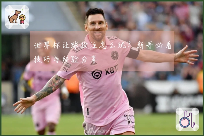 世界杯让球投注怎么玩？新手必看技巧与经验分享