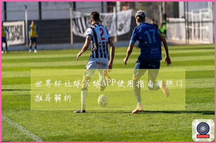 世界杯让球买球APP使用指南与热门推荐解析