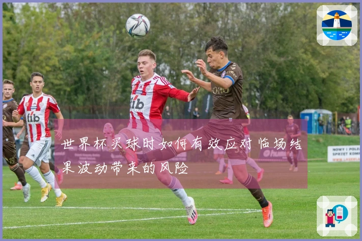 世界杯买球时如何有效应对临场结果波动带来的风险
