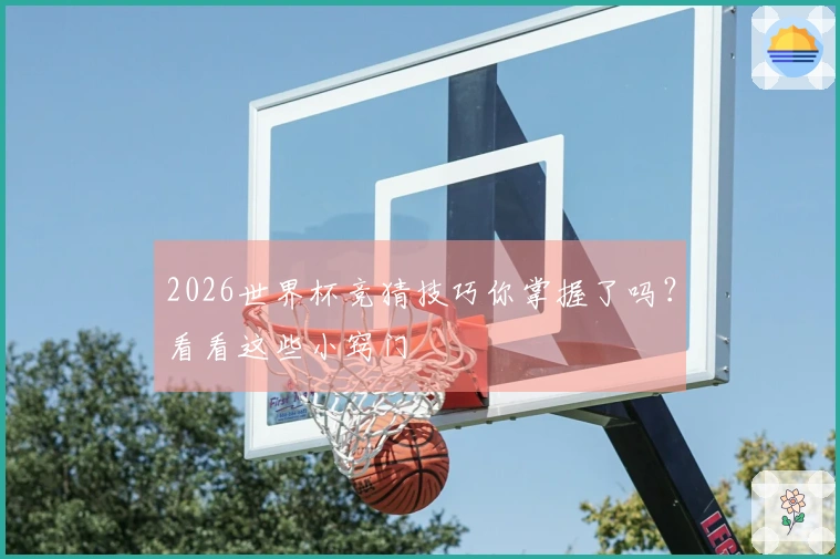 2026世界杯竞猜技巧你掌握了吗？看看这些小窍门