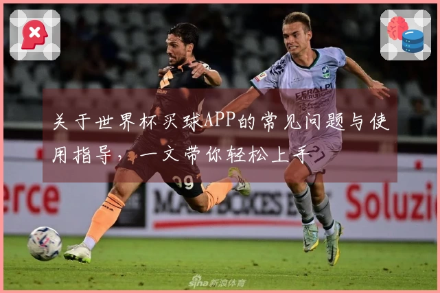 关于世界杯买球APP的常见问题与使用指导，一文带你轻松上手