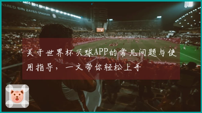 关于世界杯买球APP的常见问题与使用指导，一文带你轻松上手